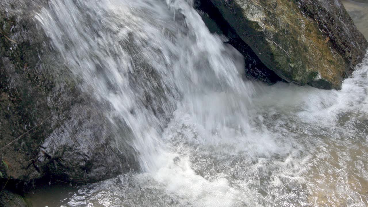 山间小溪，夏日树林