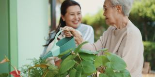 高级妇女在家给室外室内植物浇水