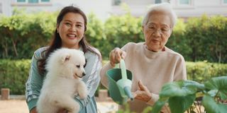 年长的亚洲女性关心她的植物