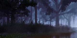 夜森林景观与老令人毛骨悚然的树和平静的河流3D动画