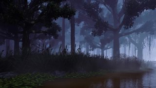 夜森林景观与老令人毛骨悚然的树和平静的河流3D动画视频素材模板下载