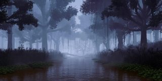 迷雾之夜神秘森林中的河流3D动画