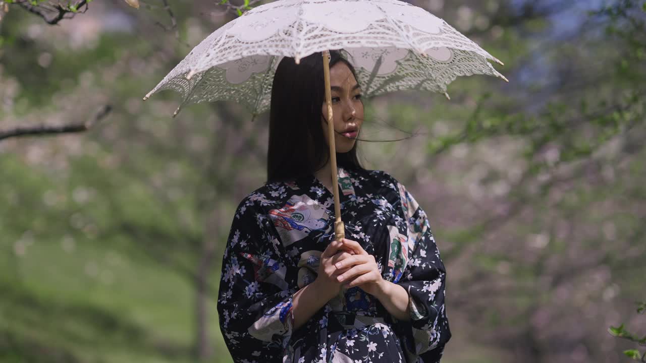 迷人的亚洲美女肖像，手持白色太阳伞，站在春天公园转向相机微笑。自信迷人的日本女士穿着和服在户外摆姿势。