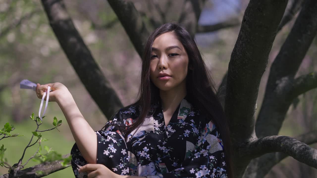 自信的年轻日本女子的肖像，穿着和服，打开风扇看着相机站在阳光下的树。美丽苗条迷人的女士在春天夏天公园摆姿势的正面视图。