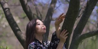 年轻的亚洲女子在樱花园里触摸树枝，微笑着看着镜头跳舞。在春天公园的户外，穿着和服的漂亮女士的肖像。快乐和生活方式。