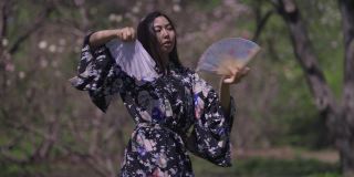 自信的亚洲女子穿着和服在樱花花园与扇子跳舞。婀娜窈窕的淑女在阳光明媚的夏春公园户外舞蹈。自然和女性概念。