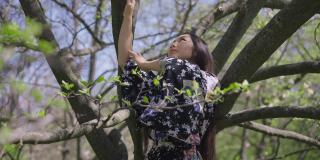 自信快乐的年轻亚洲女子穿着和服在阳光明媚的春天花园的树上慢动作跳舞。轻松美丽苗条的女士在阳光下享受户外舞蹈的肖像。