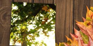 感恩节销售文本横幅在秋天的枫树叶子在木头表面