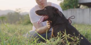 年轻的亚洲帅哥坐在他可爱的黑色拉布拉多犬的一边训练他的宠物坐着等待，建立宠物的关系，放松地遛狗，休闲活动，晚上例行锻炼，