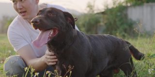 亚洲帅哥的肖像，在公园散步休息后，按摩他的黑色拉布拉多寻回小狗，放松锻炼活动在夏天的时候，与宠物相处的时间