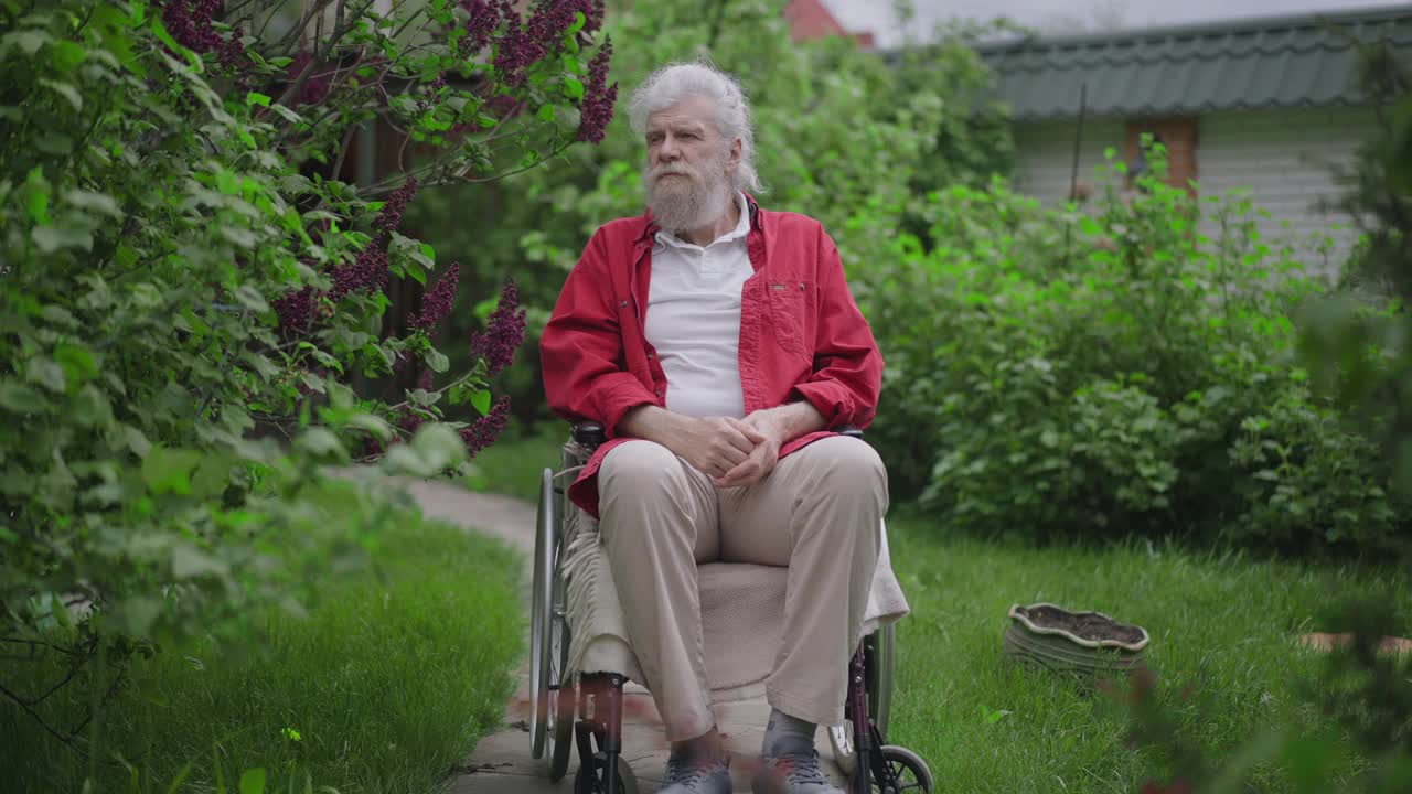 夏日，坐在轮椅上的孤独的白人残疾退休老人在后花园欣赏树枝上的花朵。一个可怜的残疾老人在户外的广角镜头。缓慢的运动。