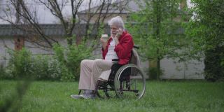正英俊的残疾老人坐在轮椅上，在后院的花园里喝着咖啡打电话。白种人退休老人享受早晨的广角照片。