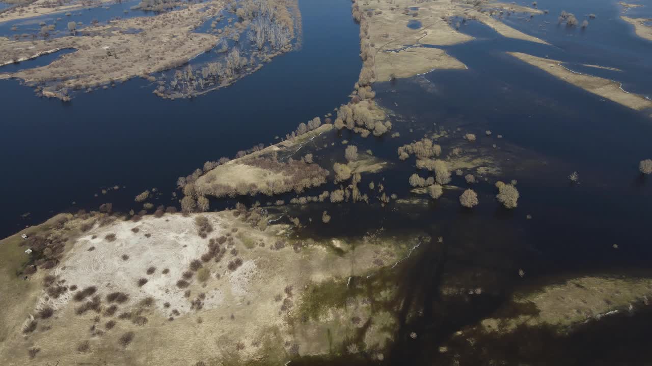 在高水位期间，树木被水淹没。树在水中。白俄罗斯图罗夫附近普里皮亚季河的春天洪水景观。