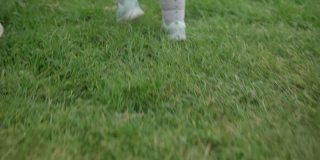可爱的小宝贝女儿走在春天公园的草地上。快乐的婴儿孩子踏出第一步在秋天玩得开心。家庭，童年，户外休闲，自然概念