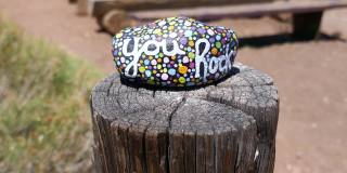 善良的岩石与画你的岩石信息在木桩与室外教室的背景聚焦