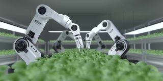 智能机器人农民概念，机器人农民