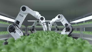 智能机器人农民概念，机器人农民视频素材模板下载