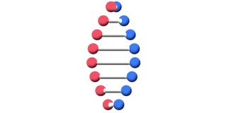 dna结构的数字动画在白色背景下旋转的困惑的表情符号