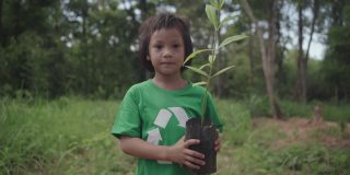 可爱的女孩站着，拿着一棵植物，她准备在森林里种一棵树。