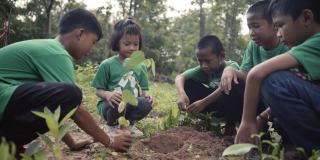 孩子们种树玩得很开心。以拯救世界的理念