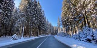 驾车的观点，在雪乡公路通过冬季白色森林