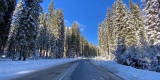 在一个阳光明媚的日子里，在一条空旷的道路上，沿着白雪覆盖的森林行驶