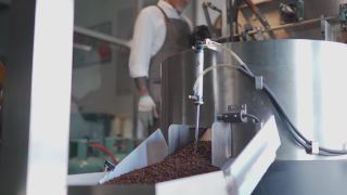 在他的工厂里，一名亚裔华裔高级技工正在检查烘培咖啡豆的去石过程视频素材模板下载