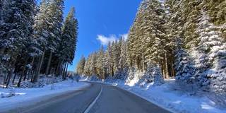 驾车的观点，在雪地的乡村道路穿过雪白的森林