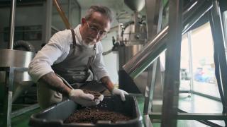 亚洲华人高级技工收集和检查烘烤咖啡豆后，从冷却过程和去石在他的工厂落入桶视频素材模板下载