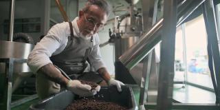 亚洲华人高级技工收集和检查烘烤咖啡豆后，从冷却过程和去石在他的工厂落入桶