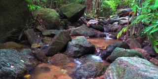 森林里的山涧里有泉水。水从石头上流过。山区河流