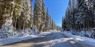在一个阳光明媚的日子里，在一条空旷的道路上，沿着白雪覆盖的森林行驶