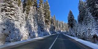 驾车的观点在白雪皑皑的乡村道路穿过白色的森林