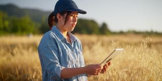 年轻的女农民在农田里拿着数字平板电脑