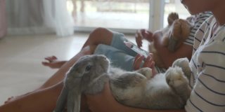两个亚洲女孩在客厅里一起给他们的宠物兔子喂药液。