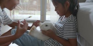 两个亚洲女孩在客厅里一起给他们的宠物兔子喂药液。
