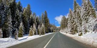 驾车的观点，在雪地的乡村道路穿过雪白的森林