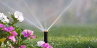 夏季花园用塑料喷灌机用水灌溉草坪花坛。在旱季浇灌绿色植物，保持其新鲜。