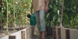 不知名的光着脚的男园丁走在温室里，浇水罐离开。年轻的白人男子在温室里照料种植的植物和蔬菜。园艺和农学。