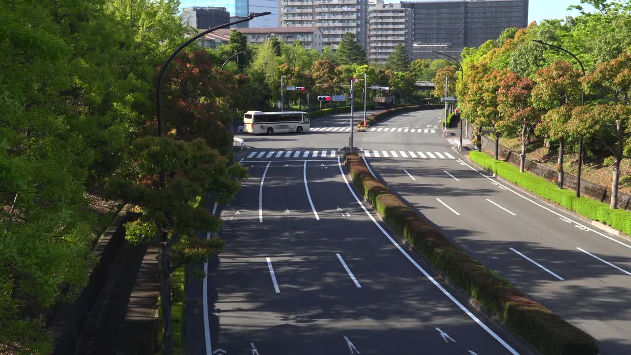 在春天的道路。新的绿色街道树。