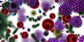 新冠病毒和血红细胞漂浮的动画