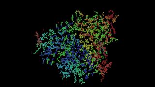小鼠t细胞抗原受体2C克隆的1tcr原子结构视频素材模板下载