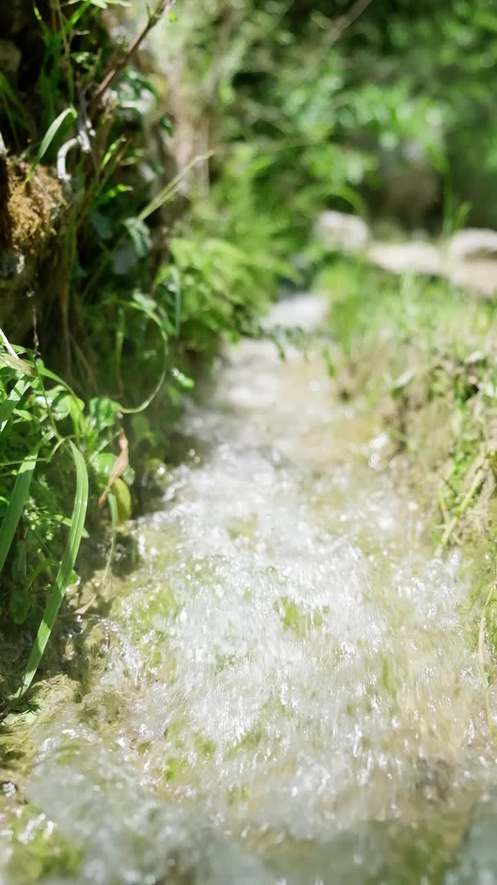 缓慢的水流从天然的泉水