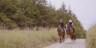 两位女骑手骑着棕色的马在一条狭窄的道路上，开阔的田野