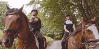 女骑手骑在棕色的马在葱郁的森林与明亮的天空