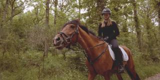 女骑手在茂密的森林中骑着一匹棕色的马
