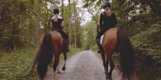 两个骑手骑着马在森林中央，慢动作