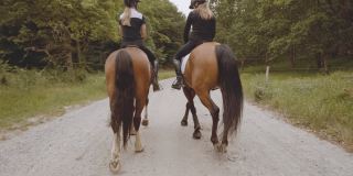 两位女骑手在森林中骑马