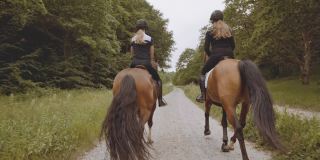 两位女骑手骑着马在森林中与晴朗的天空