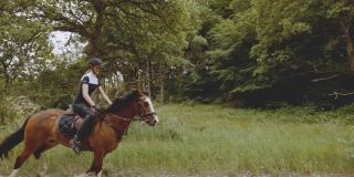 年轻的骑手骑着马在茂密的森林和明亮的天空地平线